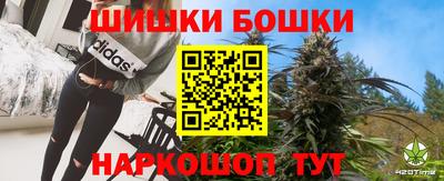 молекула духа Пугачёв