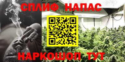 молекула духа Пугачёв